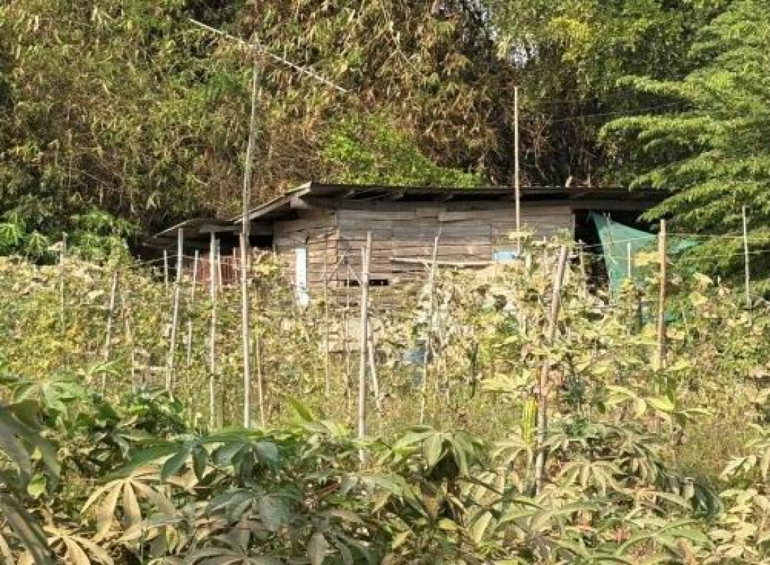 Single house Kamphaeng Phet Khanu Woralaksaburi Pa Phutsa 51152