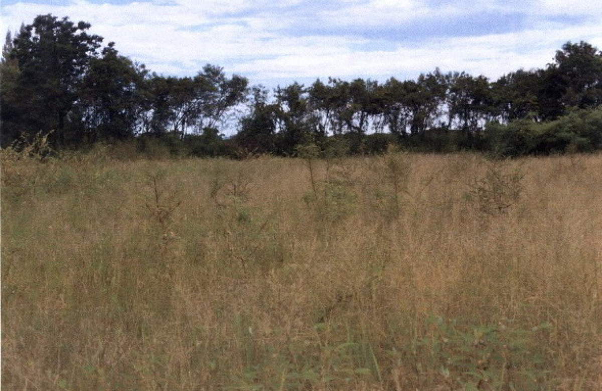 Residential land/lot Prachuap Khiri Khan Mueang Prachuap Khiri Khan Bo Nok 208500