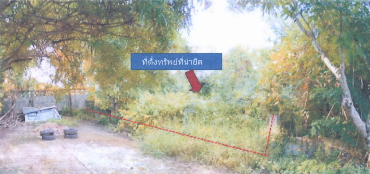 ที่ดินเปล่า เพชรบูรณ์ เมืองเพชรบูรณ์ นางั่ว 787320