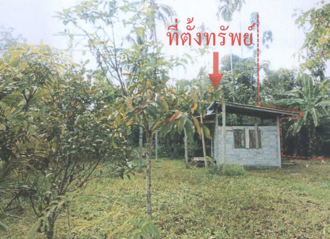 บ้านเดี่ยว นครศรีธรรมราช ฉวาง นาแว 228720
