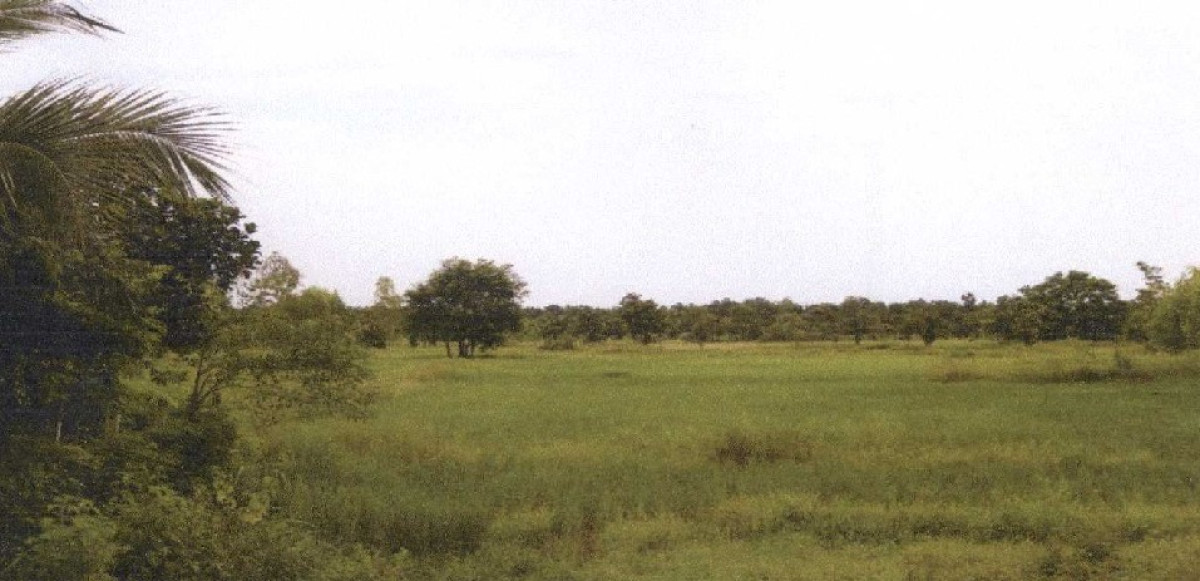 Residential land/lot Sakon Nakhon Sawang Daen Din Sawang Daen Din 33330
