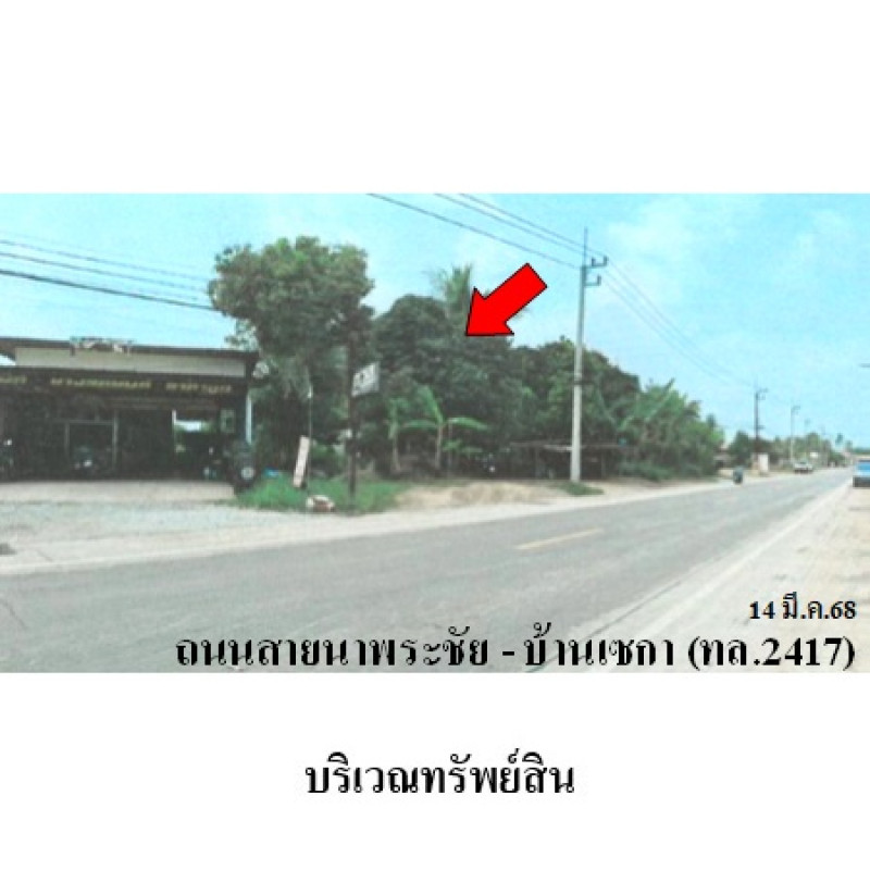 บ้านเดี่ยว บึงกาฬ เซกา เซกา 2708000