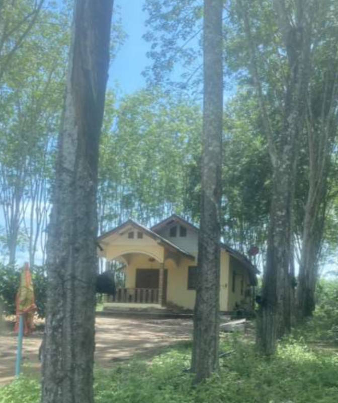 Single house Surat Thani Ban Na San Thung Tao 1028293
