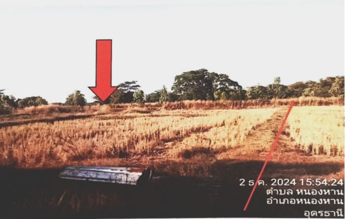 ที่ดินเปล่า อุดรธานี หนองหาน หนองหาน 1240035