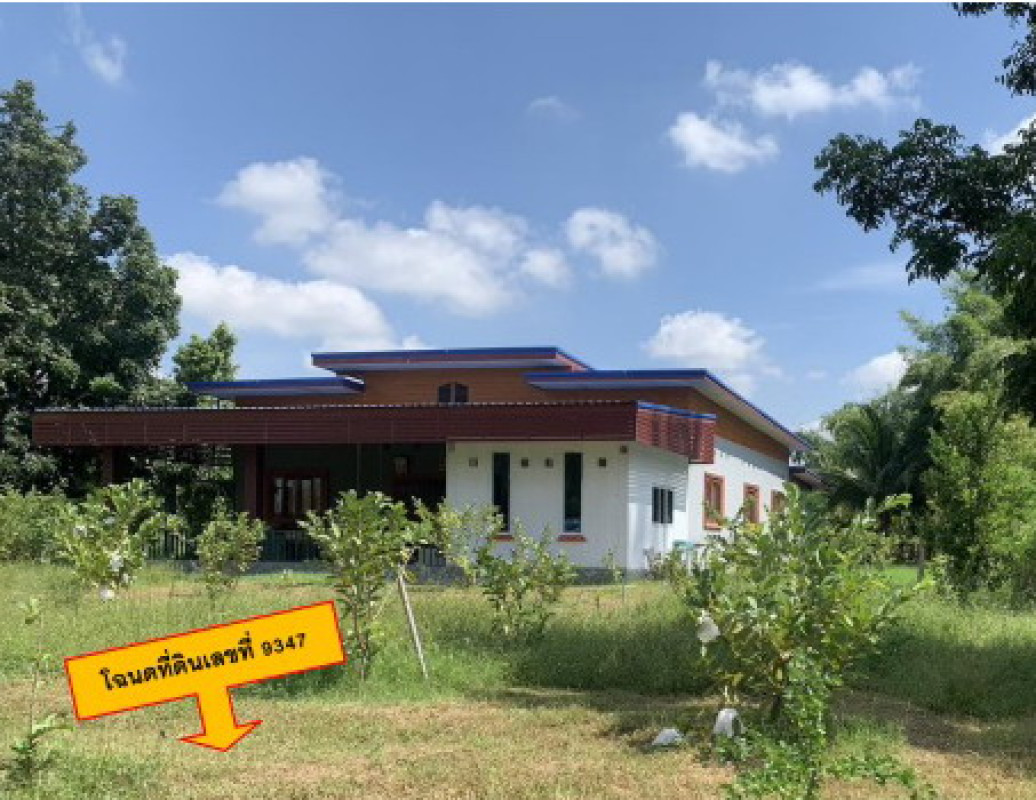 Single house Nakhon Ratchasima Bua Lai Bua Lai 1368353