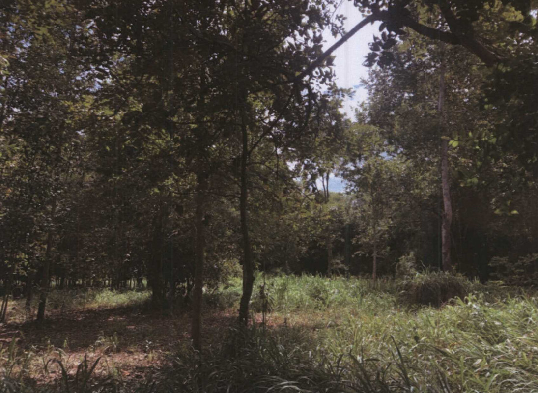 Residential land/lot Maha Sarakham Kantharawichai Si Suk 183000