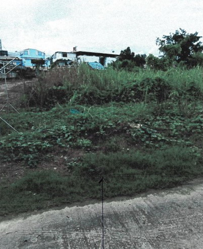 Residential land/lot Kamphaeng Phet Khanu Woralaksaburi Pa Phutsa 667600