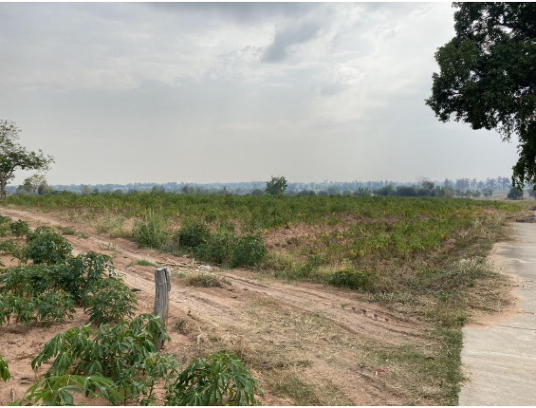 ที่ดินเปล่า มหาสารคาม โกสุมพิสัย ดอนกลาง 251750