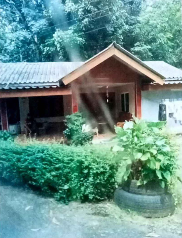 ทาวน์เฮ้าส์ สุราษฎร์ธานี บ้านนาเดิม นาใต้ 596250
