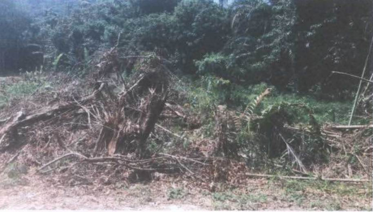 ที่ดินเปล่า พังงา ตะกั่วป่า โคกเคียน 342300