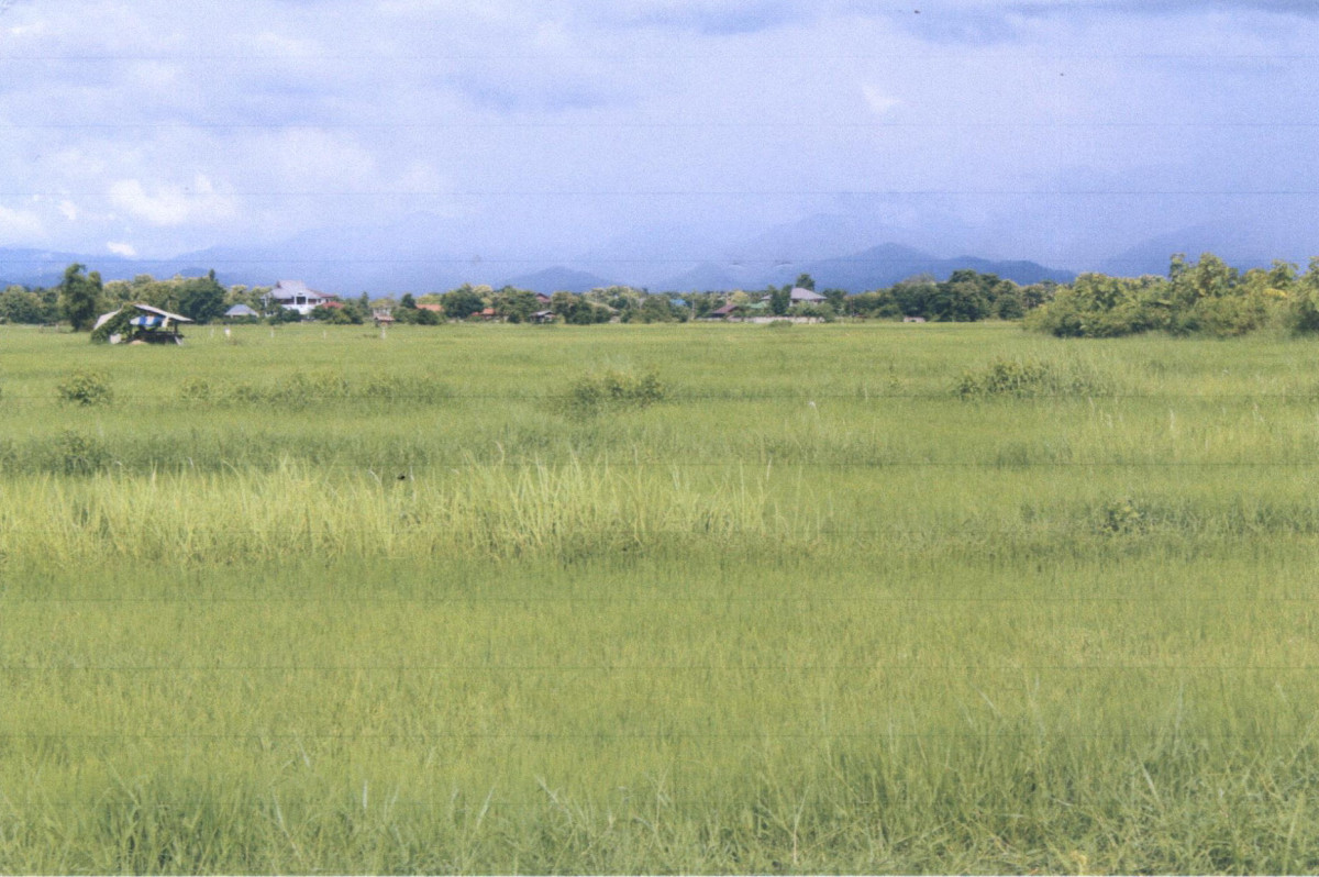 ที่ดินเปล่า แพร่ เมืองแพร่ ทุ่งกวาว 525600