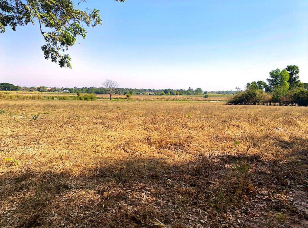 ที่ดินเปล่า อุดรธานี กุดจับ เชียงเพ็ง 269700