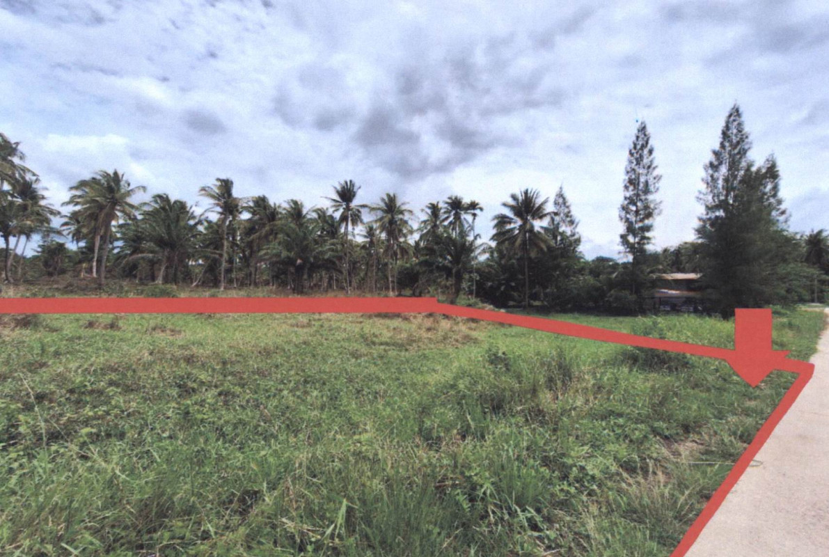 ที่ดินเปล่า ประจวบคีรีขันธ์ บางสะพาน พงศ์ประศาสน์ 209000