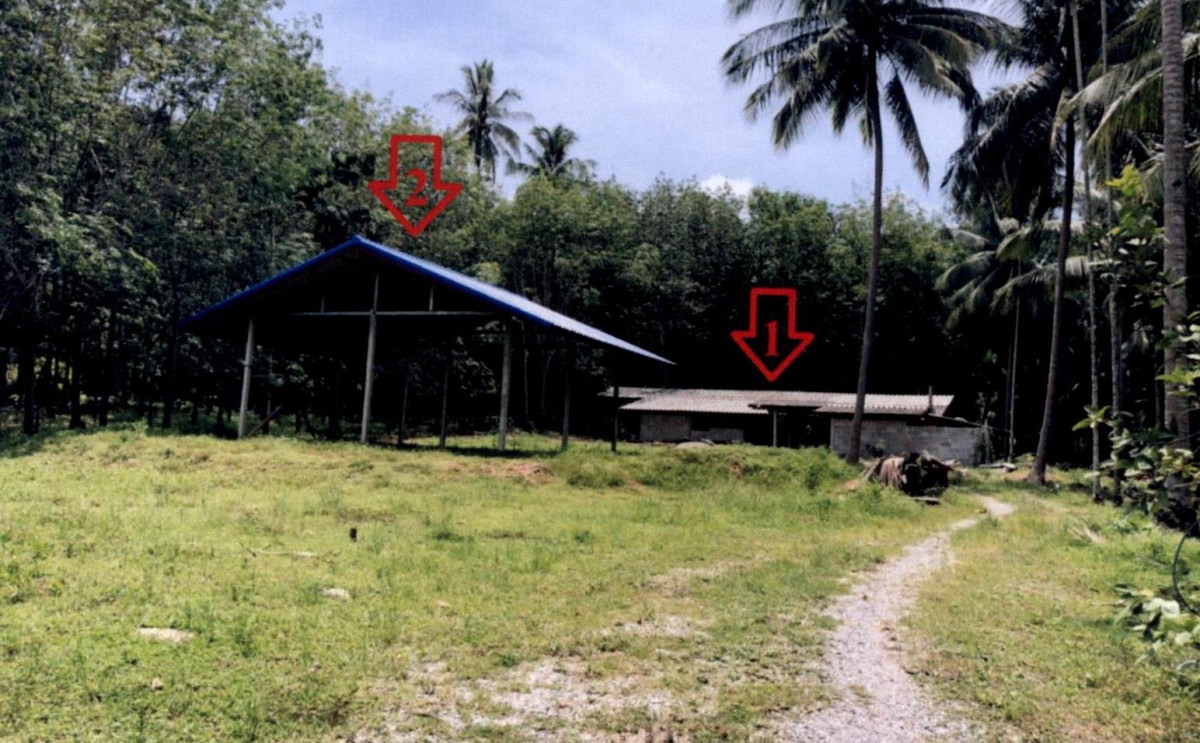 Single house Prachuap Khiri Khan Bang Saphan Noi Bang Saphan 1048215