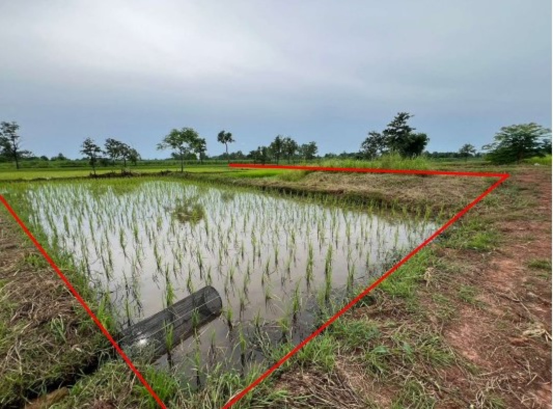 ที่ดินเปล่า สกลนคร เจริญศิลป์ เจริญศิลป์ 191400