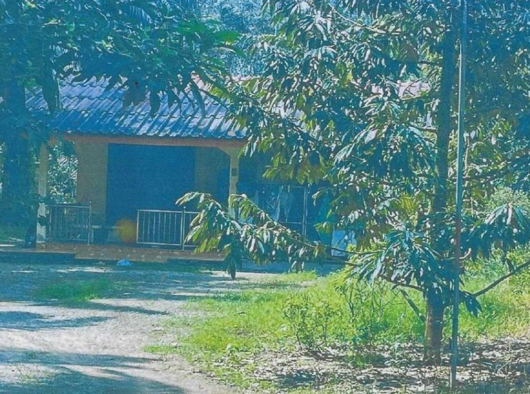 Single house Surat Thani Wiang Sa Wiang Sa 758849