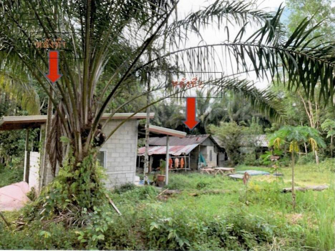 Single house Phangnga Kapong Le 545500