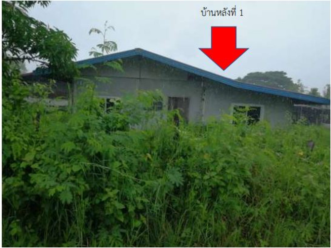 Single house Udon Thani Nong Han Phon Ngam 2213618