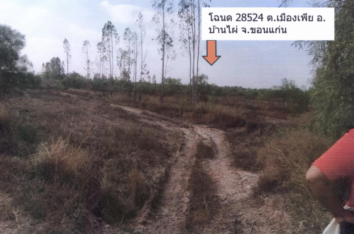 ที่ดินเปล่า ขอนแก่น โนนศิลา เปือยใหญ่ 722520