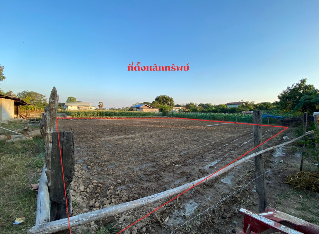 ที่ดินเปล่า มหาสารคาม ชื่นชม ชื่นชม 86400