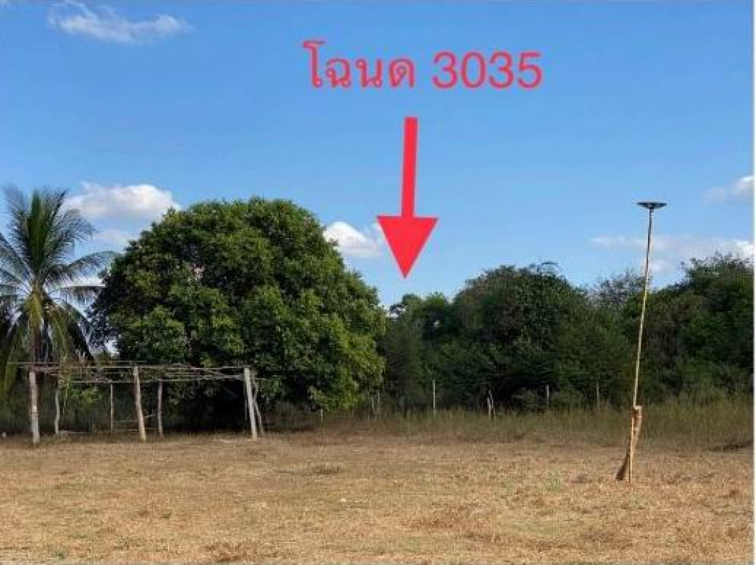 ที่ดินเปล่า อุดรธานี ประจักษ์ศิลปาคม นาม่วง 851925