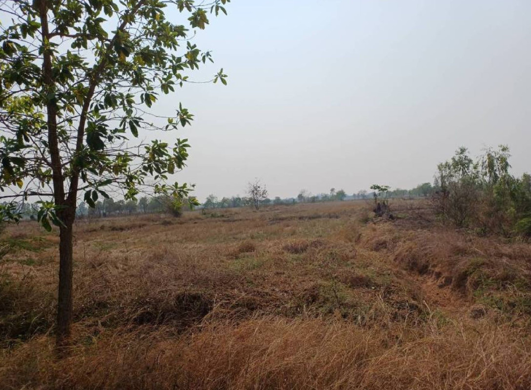 ที่ดินเปล่า สุโขทัย เมืองสุโขทัย วังทองแดง 490539