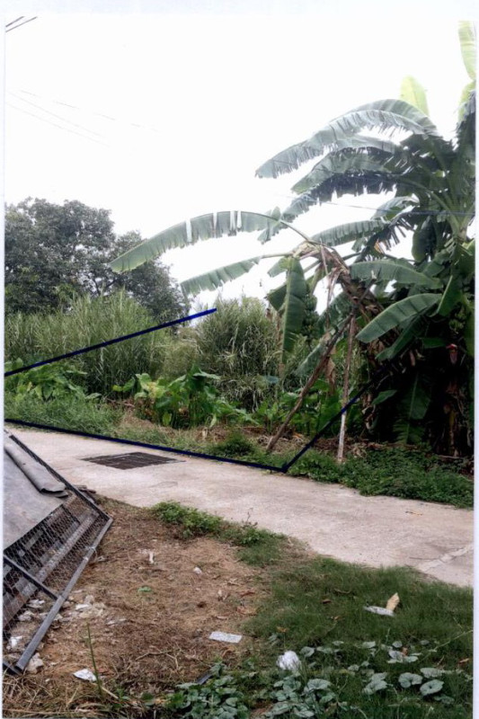 ที่ดินเปล่า สุโขทัย เมืองสุโขทัย ธานี 698400