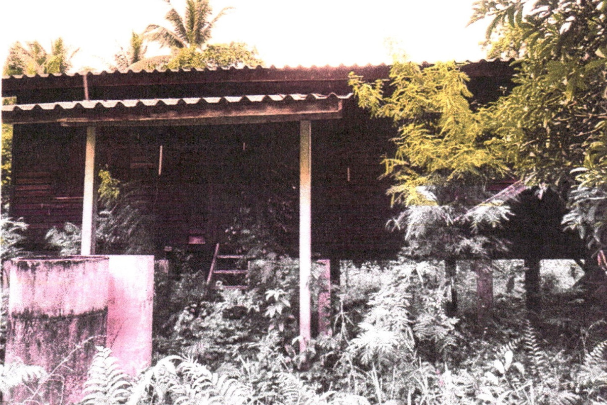 บ้านเดี่ยว สุราษฎร์ธานี ไชยา เลม็ด 301950