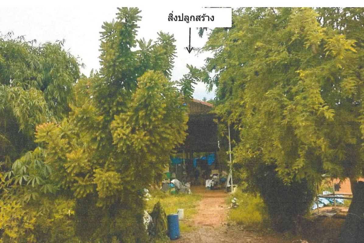 บ้านเดี่ยว สุโขทัย เมืองสุโขทัย บ้านสวน 1594248