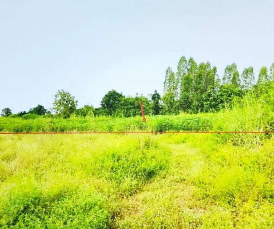 ที่ดินเปล่า พิจิตร ทับคล้อ ท้ายทุ่ง 450000