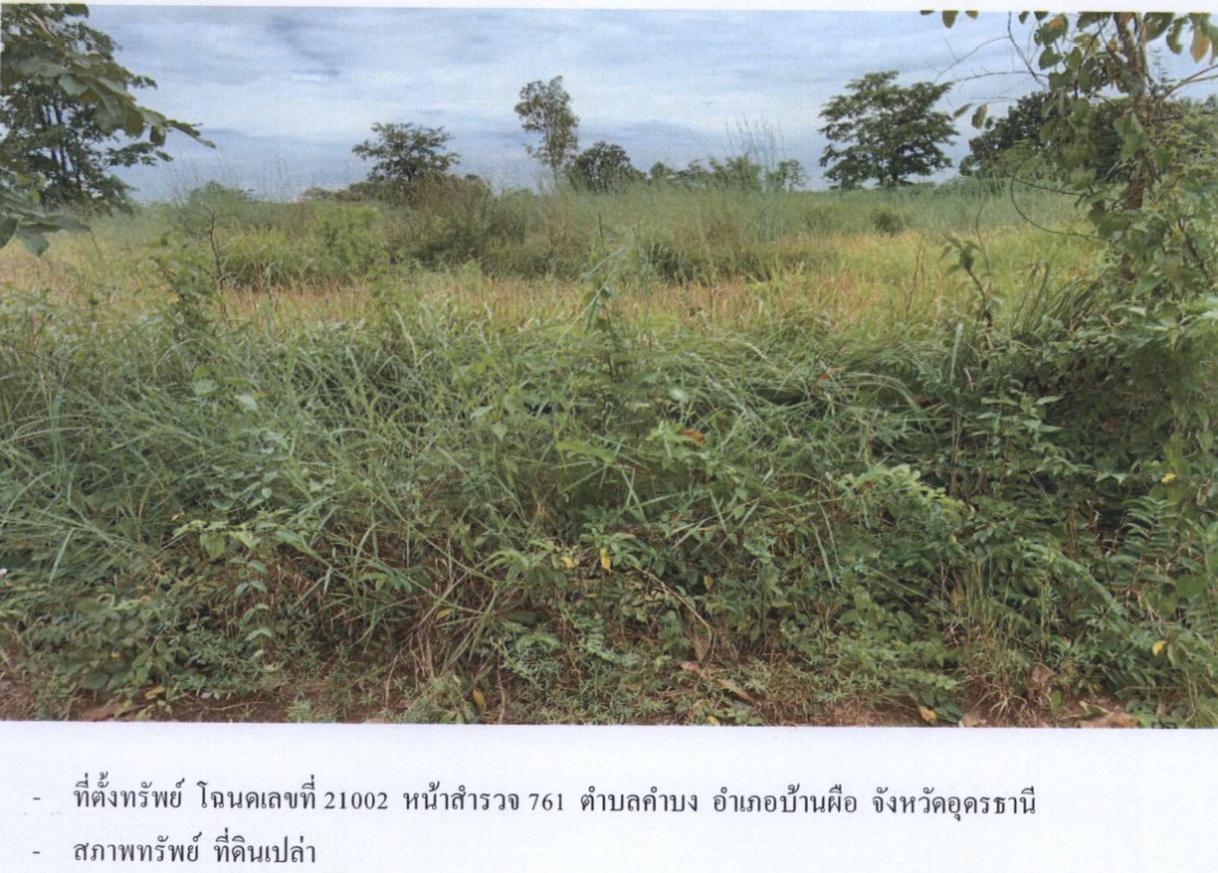 ที่ดินเปล่า อุดรธานี บ้านผือ คำบง 108500
