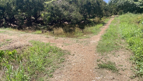 Residential land/lot Chiang Mai Mae Wang Don Pao 4000000