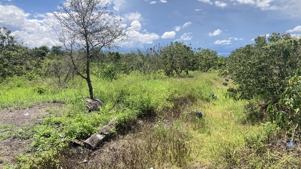 Residential land/lot Chiang Mai Mae Wang Don Pao 4000000