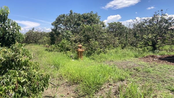 Residential land/lot Chiang Mai Mae Wang Don Pao 4000000