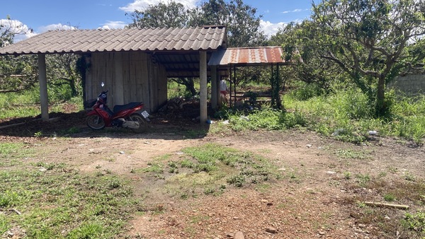 Residential land/lot Chiang Mai Mae Wang Don Pao 4000000