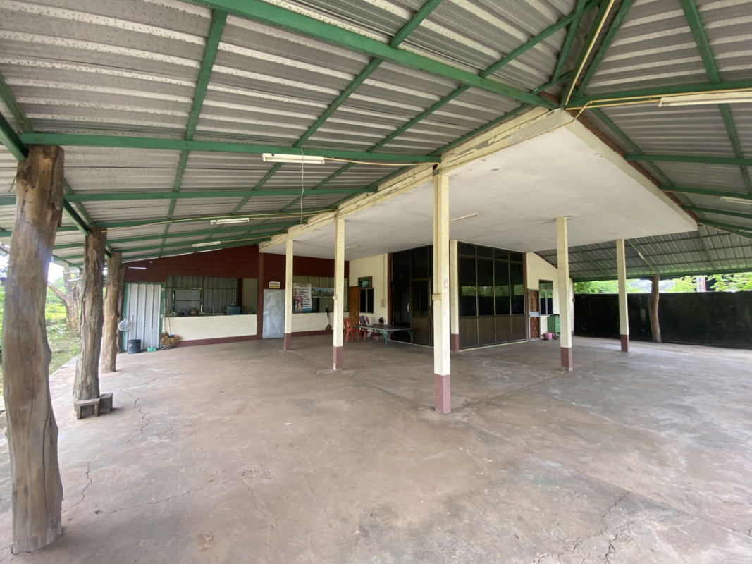 บ้านเดี่ยว บ้านเดี่ยว อุบลราชธานี อุบลราชธานี นาตาล พังเคน 5786000