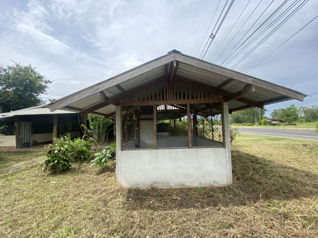 บ้านเดี่ยว บ้านเดี่ยว อุบลราชธานี อุบลราชธานี นาตาล พังเคน 5786000