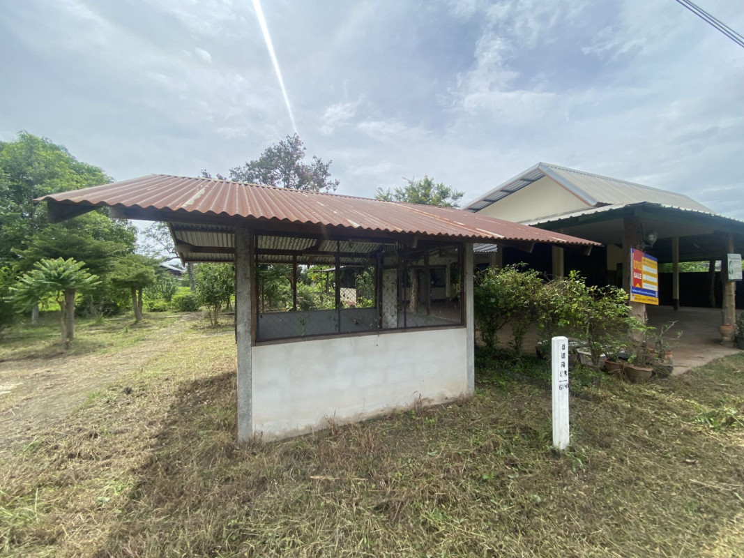 บ้านเดี่ยว บ้านเดี่ยว อุบลราชธานี อุบลราชธานี นาตาล พังเคน 5786000