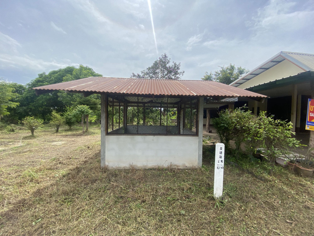 บ้านเดี่ยว บ้านเดี่ยว อุบลราชธานี อุบลราชธานี นาตาล พังเคน 5786000