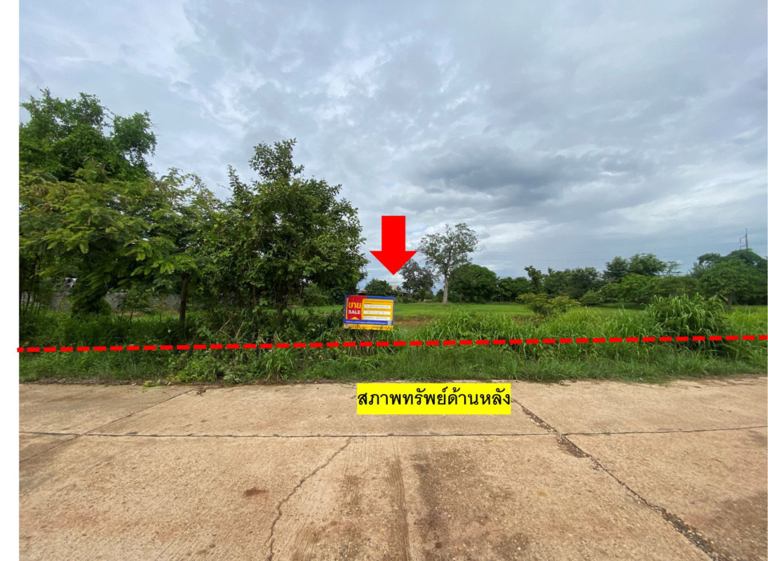 บ้านเดี่ยว บ้านเดี่ยว อุบลราชธานี อุบลราชธานี นาตาล พังเคน 5786000
