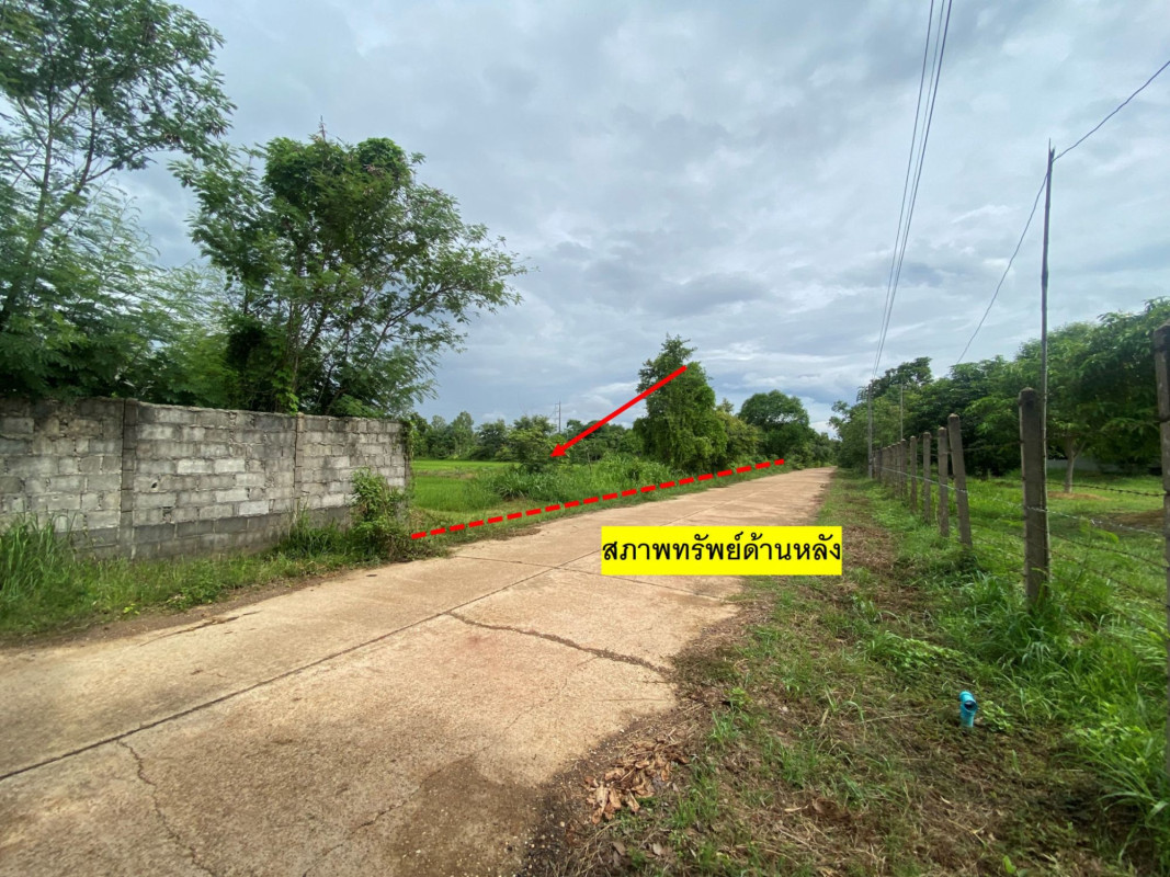 บ้านเดี่ยว บ้านเดี่ยว อุบลราชธานี อุบลราชธานี นาตาล พังเคน 5786000