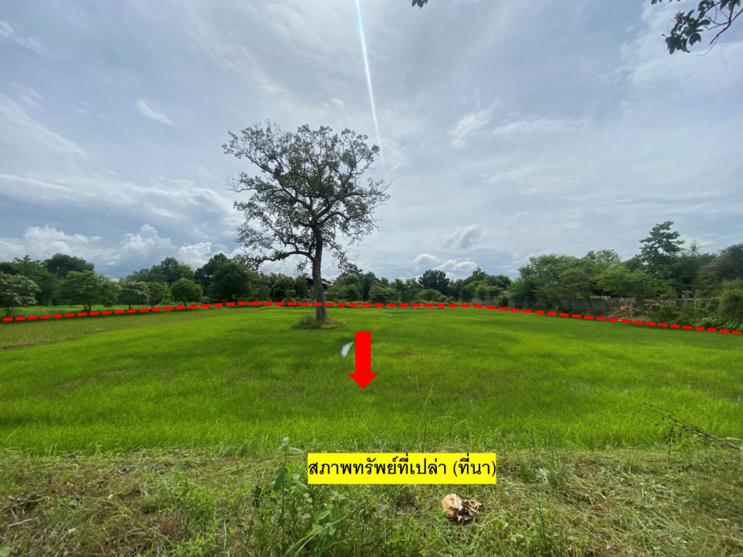 บ้านเดี่ยว บ้านเดี่ยว อุบลราชธานี อุบลราชธานี นาตาล พังเคน 5786000