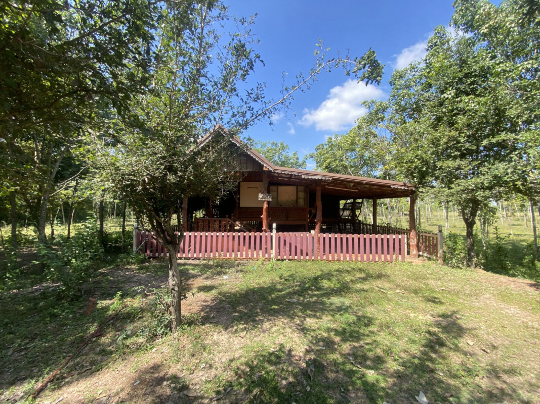 บ้านเดี่ยว บ้านเดี่ยวชั้นเดียว  ศรีสะเกษ ศรีสะเกษ เบญจลักษ์ ท่าคล้อ 3007000