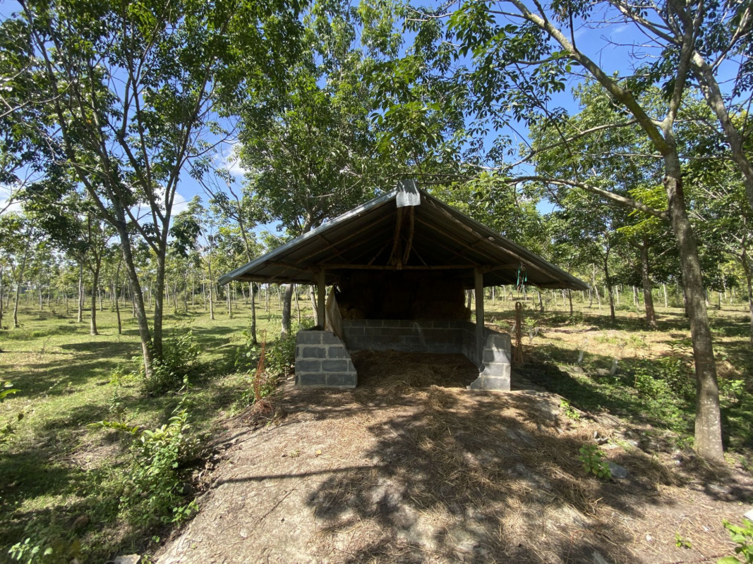 บ้านเดี่ยว บ้านเดี่ยวชั้นเดียว  ศรีสะเกษ ศรีสะเกษ เบญจลักษ์ ท่าคล้อ 3007000