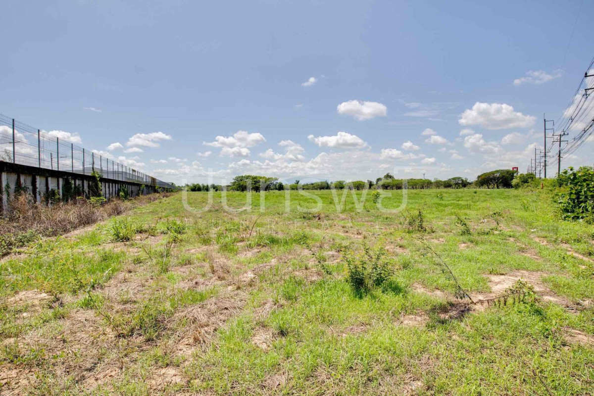 Residential land/lot Lamphun Mueang Lamphun Makhuea Chae 170394000