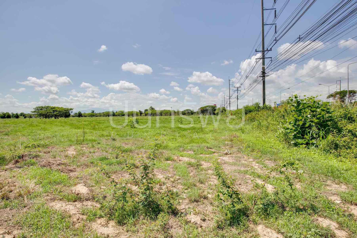 Residential land/lot Lamphun Mueang Lamphun Makhuea Chae 170394000