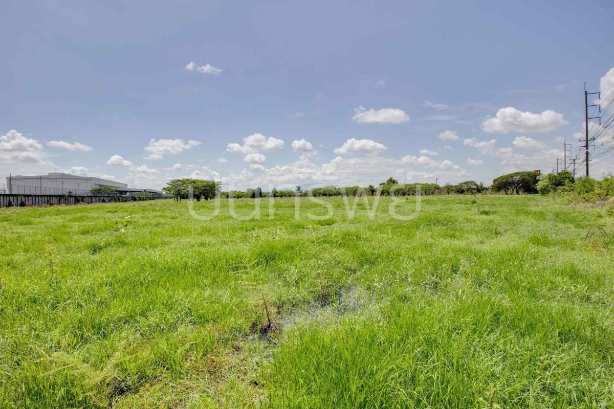 Residential land/lot Lamphun Mueang Lamphun Makhuea Chae 170394000