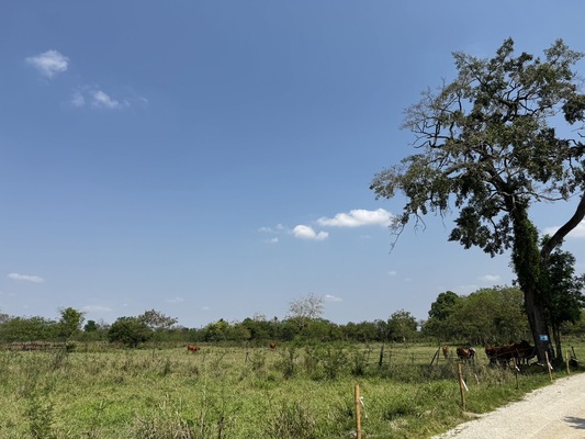 Residential land/lot Nakhon Ratchasima Pak Chong Khanong Phra 56000000