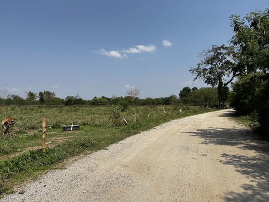 Residential land/lot Nakhon Ratchasima Pak Chong Khanong Phra 56000000