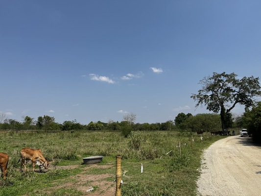 Residential land/lot Nakhon Ratchasima Pak Chong Khanong Phra 56000000
